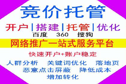 SEM优化实战案例：效果提升策略
